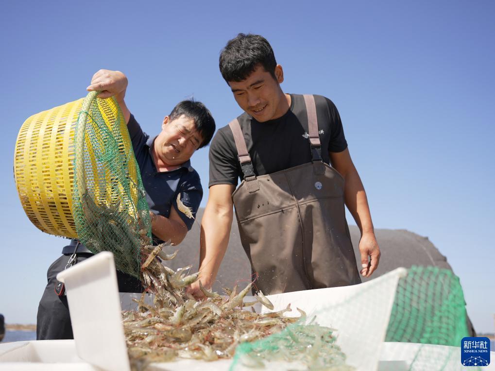 抢庄牛牛棋牌下载