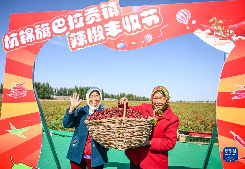 捕鱼官方网站